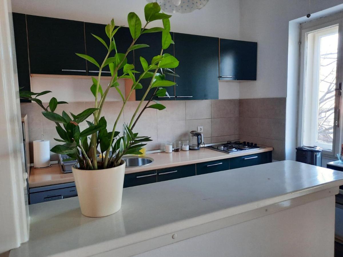 Apartman Soda Ogulin Buitenkant foto